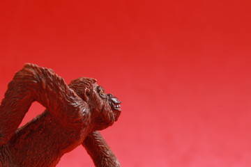 orangutan shaped plastic toy in color background