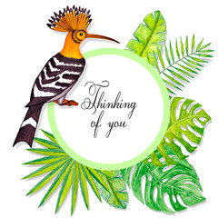 Thinking of you - card. Hoopoe is a tropical bird. watercolor drawing.