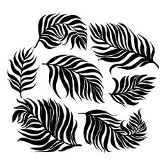 Tropical vector dypsis leaves palm. Jungle dypsis leaf tropic set. Hand drawn vector exotic leaves. Vector dypsis leaves. Set of palm leaves silhouettes isolated on white background. Vector EPS10