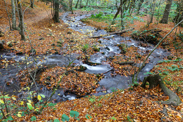 Waterfall in Yedigoller National Park, Bolu, Turkey