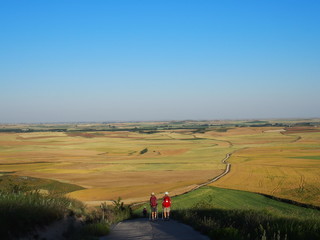 Pilgrims walking through beautiful agricultural landscape on the road to Santiago de Compostela, Camino de Santiago, Way of St. James,  Castrojeriz to Poblacion de Campos, French way, Spain