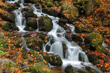 Fototapeta na wymiar Waterfall in Yedigoller National Park, Bolu, Turkey