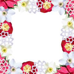Beautiful Christmas background of narcissuses, poinsettia, tulips and decorative snowflakes. Isolated