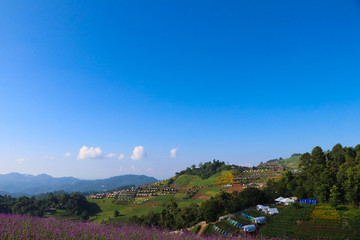 Doi Mon Jam Tourist attractions in Mae Rim District Chiangmai Province Thailand ์November 21 2019.