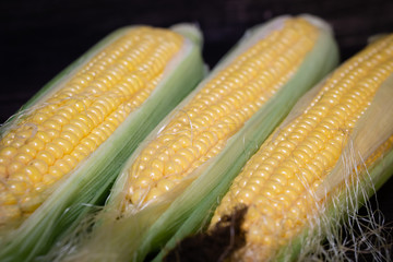 Grains of ripe corn on the cob.