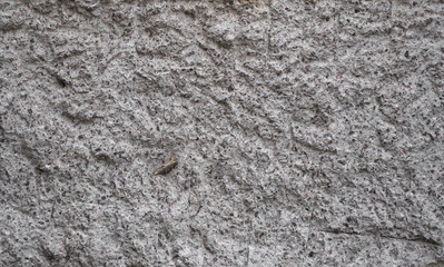 Concrete grey wall covered with gray cement texture as background can be used in design.