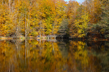 Buyuk Lake in Yedigoller National Park, Bolu, Turkey