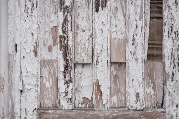 The white wood texture with natural patterns background. Dirty concrete texture with cracks and holes.