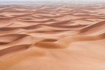 Sand Dune in the Sahara / In the Sahara Desert, sand dunes to the horizon, Morocco, Africa.
