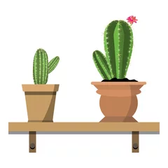 Foto auf Acrylglas Kaktus im Topf 2 Topfkaktuspflanzen in richtigen bunten Blumentöpfen gegen weiße Wand. Zimmerpflanzen auf Holzregal isoliert auf weiß