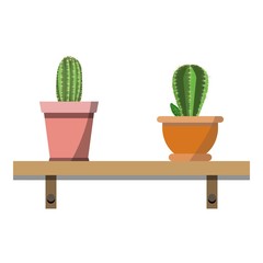 2 potted cactus plants in attractive colorful flower pots against white wall. House plants on woden shelf isolated on white