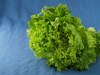 Green salad on a blue cloth background. lettuce, Close-up. Fresh ripe vegetables.