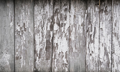 The white wood texture with natural patterns background. Dirty concrete texture with cracks and holes.