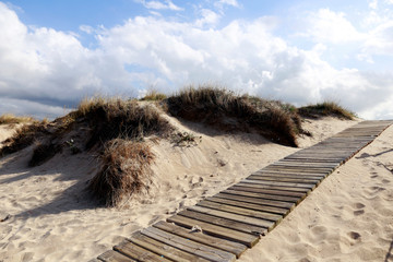 Natural protected area in Oliva Valencia, Spain. Sand dunes beach and wooden walkaway. 