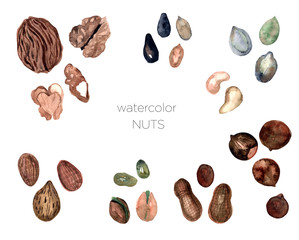 Set of watercolor nuts, hand painted isolated on a white background.Peanut, pistachios, almond,cashew, walnut,hazelnut,sunflower seeds,pumpkin seed