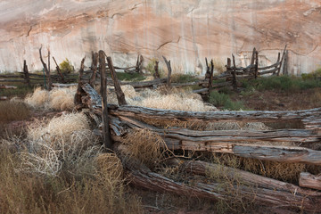 Tumbleweeds piled up along the weathered wooden fence of an old corral.
