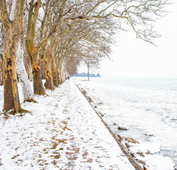 Nice winter scene at lake Balaton