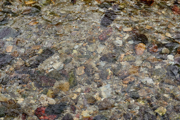stones in water
