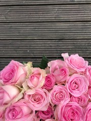 Erkelenz (Germany). September 2019. Roses