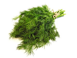 Bunch of fresh dill herb isolated on white background