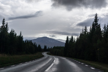 Dramatic northern scandinavian route. Cold northern europe freeway. Nature forest, mountains road perspective view. Travel scenery.