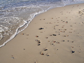 Sandy beach with beautiful stones and sea wave