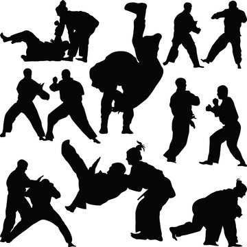 judo martial art