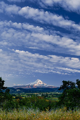 A beautiful view of Mount Hood in Oregon, USA during late evening with blue skies