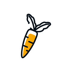 Isolated carrot vegetable vector design