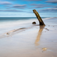 Baumstamm am Strand der Ostsee, Langzeitbelichtung, Darss, Deutschland	