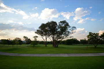 The greens on a Johannesburg golf course