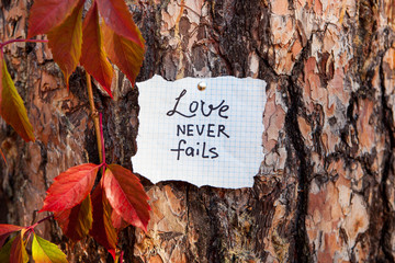 Love never fails - lettering on beautiful background on nature, biblical verce and religion concept