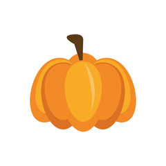 thanksgiving pumpkin vegetable isolated icon