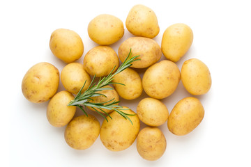New potato and rosemarin isolated on white background close up.