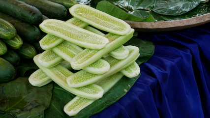Cucumber