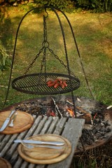 Barbecue grill in the garden