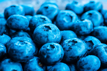 blueberry navy trend 2020