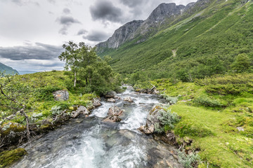 Beauty in the stream