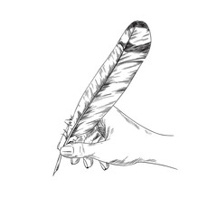 Female hand writing with quill, sketch hand drawn  - obrazy, fototapety, plakaty