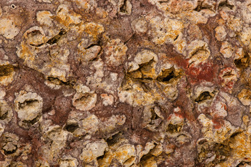 close up volcanic rock