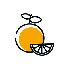 Isolated orange fruit vector design