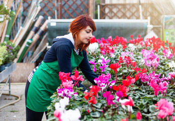 Young florist with red hair works in a nursery.