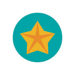 merry christmas decorative star icon