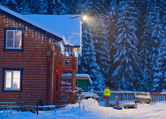 New year in the village picturesque night landscape.
