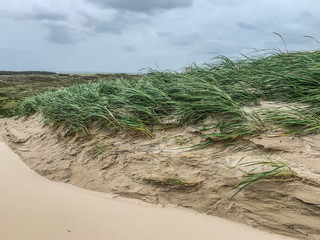 Dunes of North Sea 