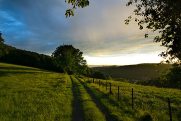 Fototapeta na wymiar beautiful light at a green field with trees