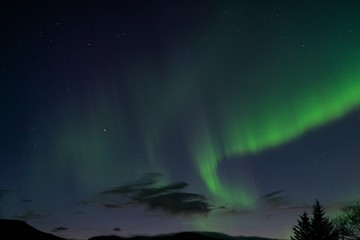 aurora borealis in iceland in winter