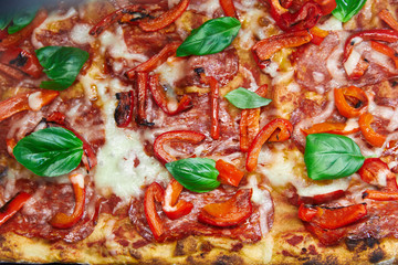 Obraz na płótnie Canvas pizza topping with basil, pepper, cheese, ham, seasonings, tomatoes, ketchup 