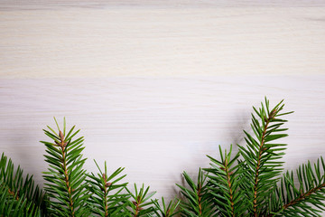 Christmas background with fir branches and place for text