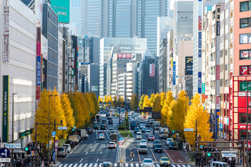 (東京都ｰ都市風景)秋の新宿街並み１